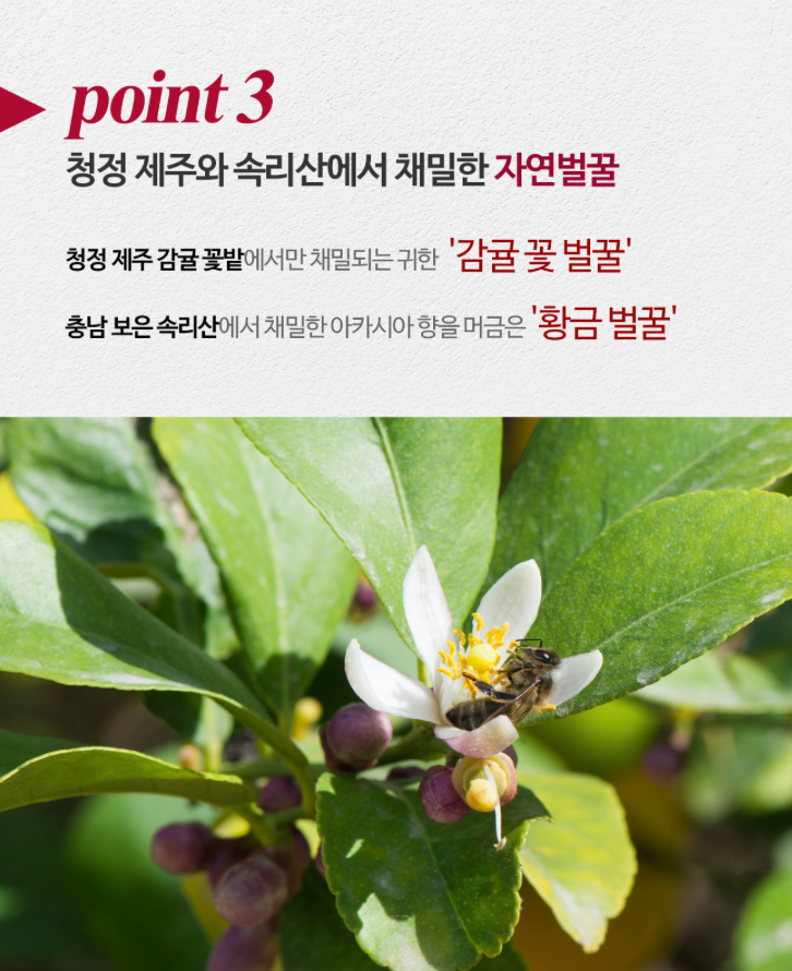 스크린샷 2025-04-17 오전 10.49.22.png