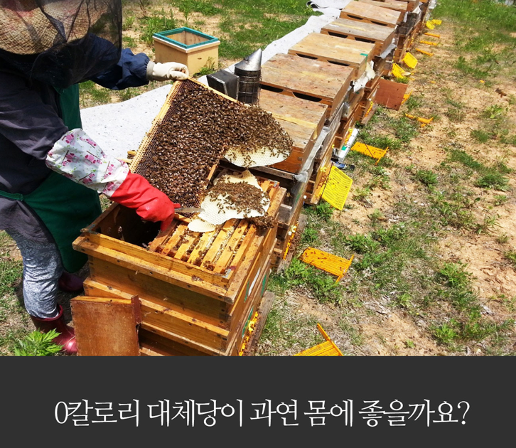 스크린샷 2025-04-17 오전 10.50.10.png